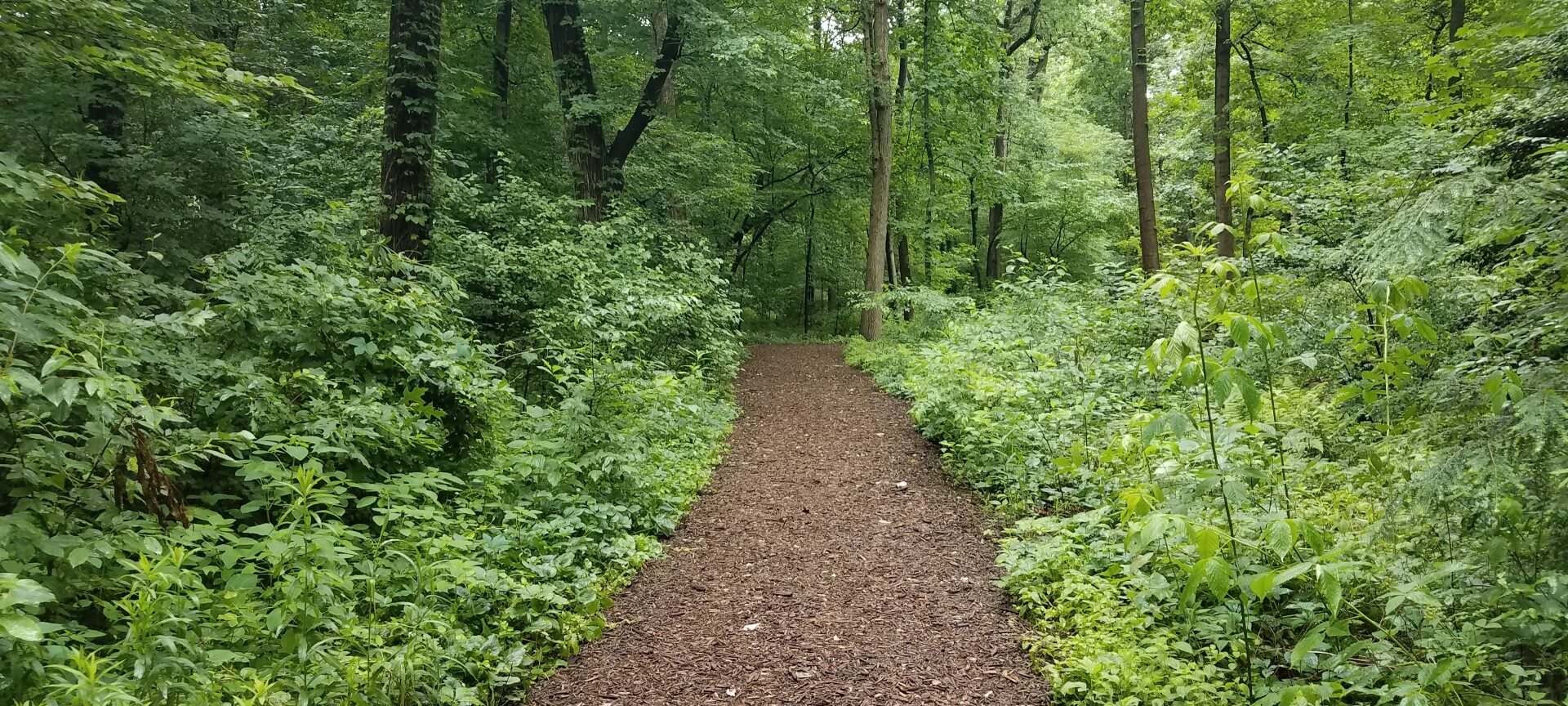 Adobestock 356287740